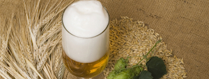 About Beer
