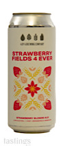 4 By 4 Brewing Company Strawberry Blonde Ale Fruit Beer