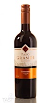 Paso Grande 2019 Special Selection Carmenere