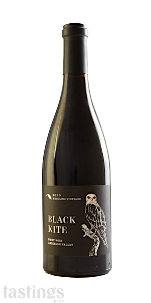 Black Kite