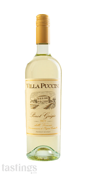 Villa Puccini