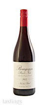 Nicolas Potel 2022 Pinot Noir, Bourgogne Rouge