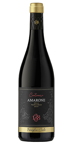 Centenero 2021 Amarone della Valpolicella DOCG Italy Wine Review
